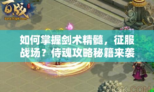 如何掌握劍術(shù)精髓，征服戰(zhàn)場？侍魂攻略秘籍來襲！
