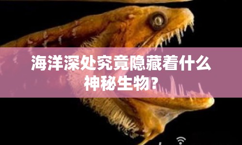 海洋深處究竟隱藏著什么神秘生物？