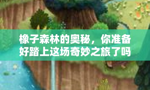 橡子森林的奧秘，你準(zhǔn)備好踏上這場(chǎng)奇妙之旅了嗎？