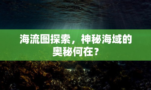 海流圖探索，神秘海域的奧秘何在？