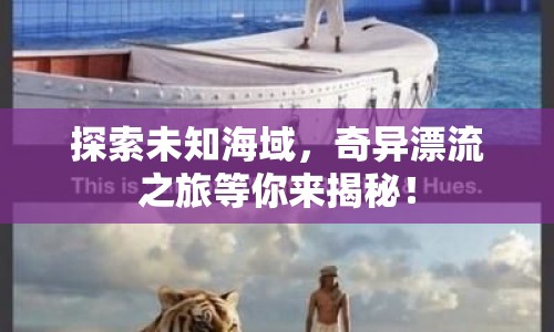 探索未知海域，奇異漂流之旅等你來揭秘！