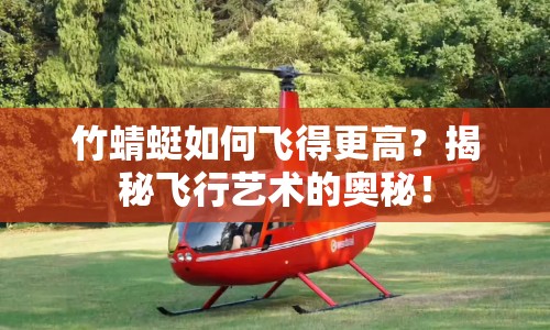 竹蜻蜓如何飛得更高？揭秘飛行藝術的奧秘！