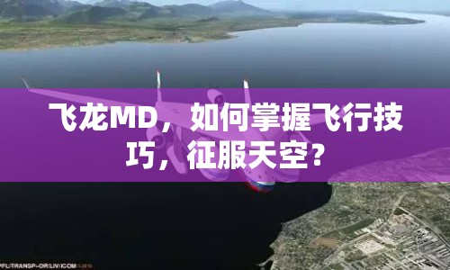 飛龍MD，如何掌握飛行技巧，征服天空？