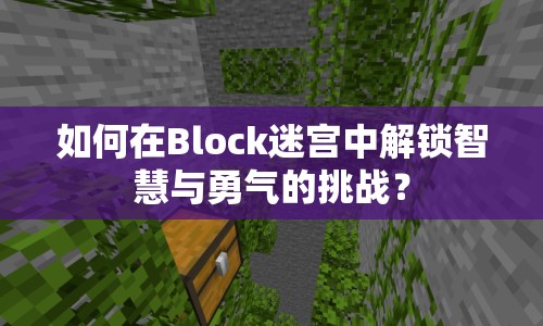如何在Block迷宮中解鎖智慧與勇氣的挑戰(zhàn)？