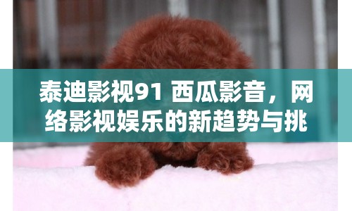 泰迪影視91 西瓜影音，網(wǎng)絡(luò)影視娛樂的新趨勢與挑戰(zhàn)