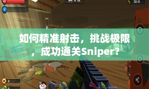 如何精準射擊，挑戰(zhàn)極限，成功通關(guān)Sniper？