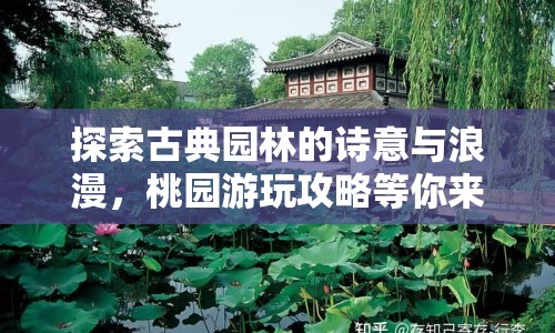 探索古典園林的詩(shī)意與浪漫，桃園游玩攻略等你來(lái)揭秘！