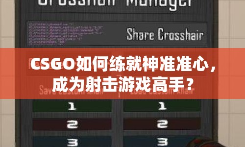 CSGO如何練就神準(zhǔn)準(zhǔn)心，成為射擊游戲高手？