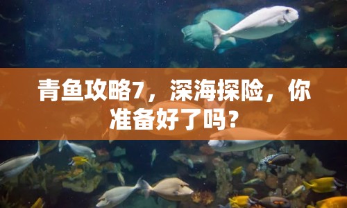 青魚攻略7，深海探險(xiǎn)，你準(zhǔn)備好了嗎？