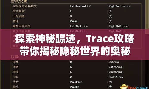 探索神秘蹤跡，Trace攻略帶你揭秘隱秘世界的奧秘？