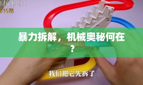 暴力拆解，機(jī)械奧秘何在？