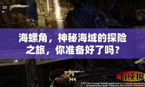 海螺角，神秘海域的探險(xiǎn)之旅，你準(zhǔn)備好了嗎？