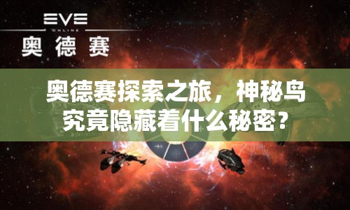 奧德賽探索之旅，神秘鳥究竟隱藏著什么秘密？