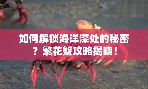 如何解鎖海洋深處的秘密？繁花蟹攻略揭曉！