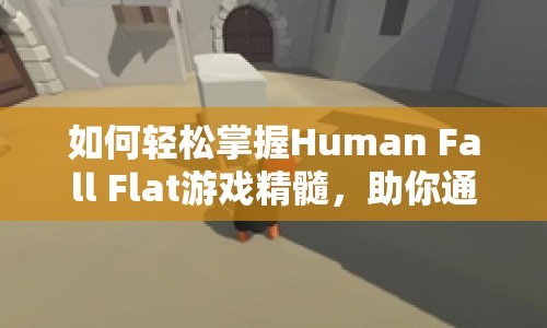 如何輕松掌握Human Fall Flat游戲精髓，助你通關(guān)？