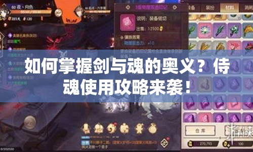 如何掌握劍與魂的奧義？侍魂使用攻略來(lái)襲！