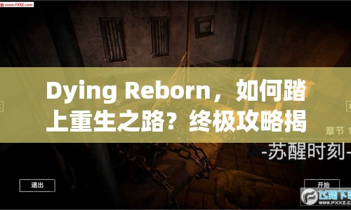 Dying Reborn，如何踏上重生之路？終極攻略揭秘！