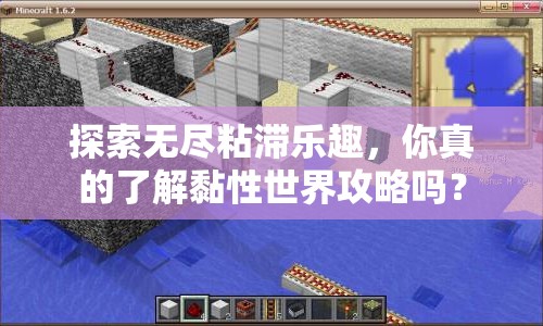 探索無(wú)盡粘滯樂(lè)趣，你真的了解黏性世界攻略嗎？