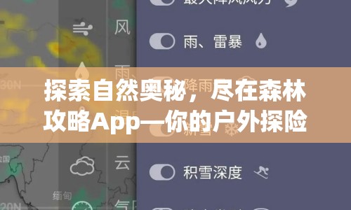 探索自然奧秘，盡在森林攻略App—你的戶外探險最佳助手