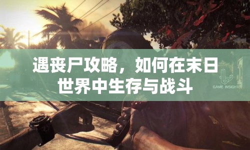 遇喪尸攻略，如何在末日世界中生存與戰(zhàn)斗