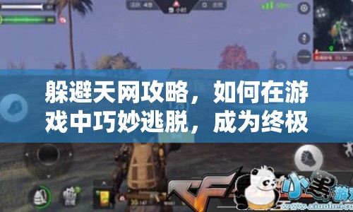 躲避天網(wǎng)攻略，如何在游戲中巧妙逃脫，成為終極幸存者