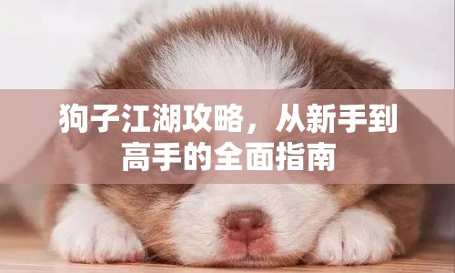 狗子江湖攻略，從新手到高手的全面指南