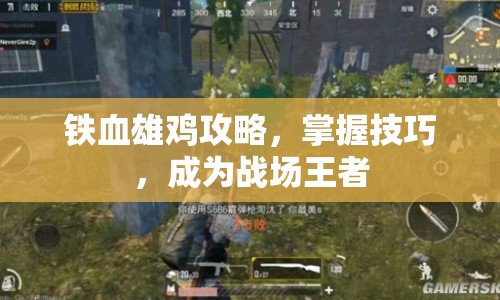 鐵血雄雞攻略，掌握技巧，成為戰(zhàn)場王者