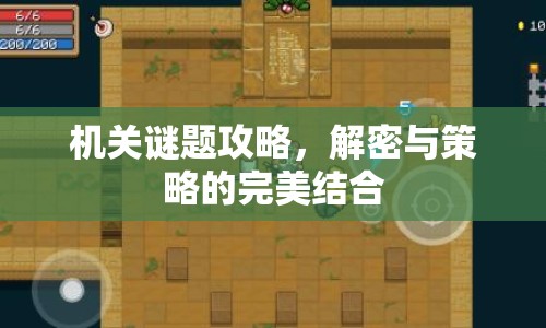 機(jī)關(guān)謎題攻略，解密與策略的完美結(jié)合