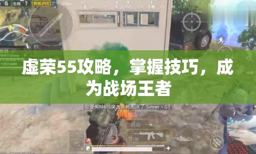 虛榮55攻略，掌握技巧，成為戰(zhàn)場(chǎng)王者