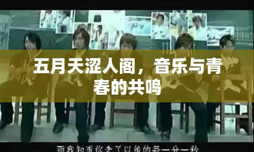 五月天澀人閣，音樂與青春的共鳴