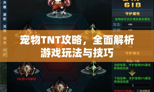 寵物TNT攻略，全面解析游戲玩法與技巧