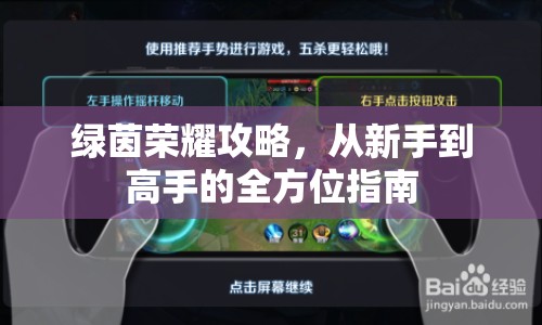 綠茵榮耀攻略，從新手到高手的全方位指南