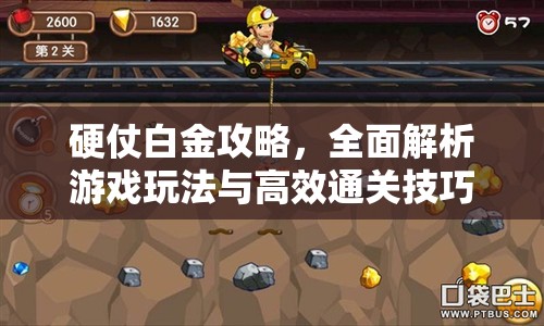硬仗白金攻略，全面解析游戲玩法與高效通關(guān)技巧