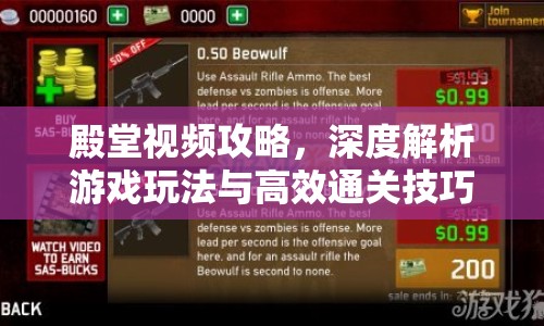 殿堂視頻攻略，深度解析游戲玩法與高效通關(guān)技巧