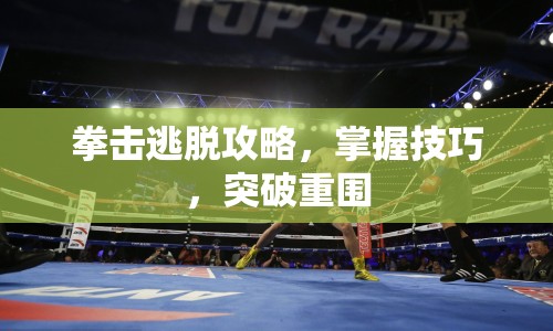 拳擊逃脫攻略，掌握技巧，突破重圍