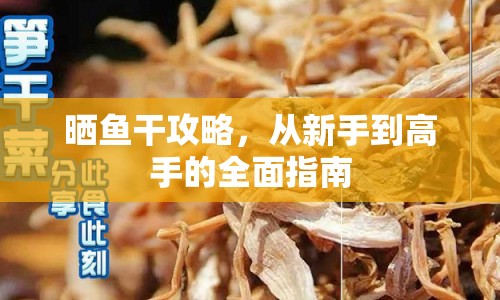 曬魚(yú)干攻略，從新手到高手的全面指南