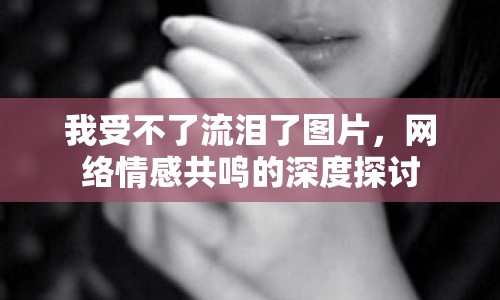 我受不了流淚了圖片，網(wǎng)絡(luò)情感共鳴的深度探討
