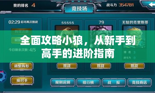 全面攻略小狼，從新手到高手的進階指南