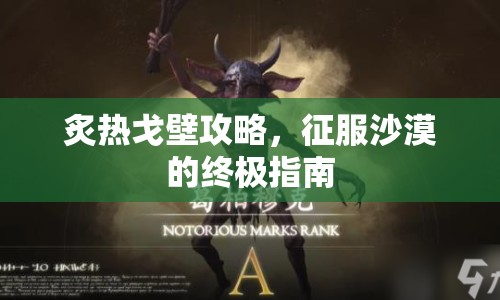 炙熱戈壁攻略，征服沙漠的終極指南