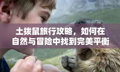土撥鼠旅行攻略，如何在自然與冒險中找到完美平衡？