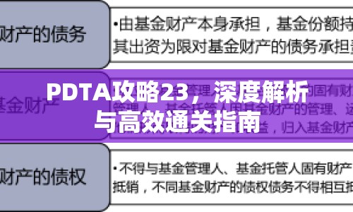 PDTA攻略23，深度解析與高效通關(guān)指南