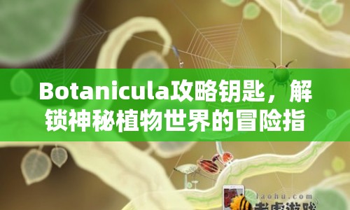 Botanicula攻略鑰匙，解鎖神秘植物世界的冒險(xiǎn)指南