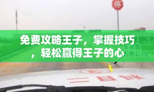 免費(fèi)攻略王子，掌握技巧，輕松贏得王子的心