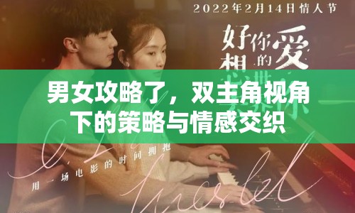 男女攻略了，雙主角視角下的策略與情感交織