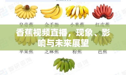 香蕉視頻直播，現(xiàn)象、影響與未來展望