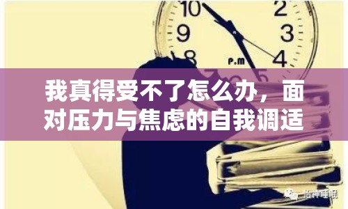 我真得受不了怎么辦，面對(duì)壓力與焦慮的自我調(diào)適