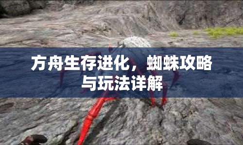 方舟生存進(jìn)化，蜘蛛攻略與玩法詳解