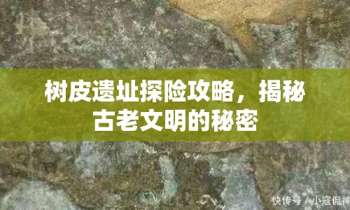 樹皮遺址探險(xiǎn)攻略，揭秘古老文明的秘密