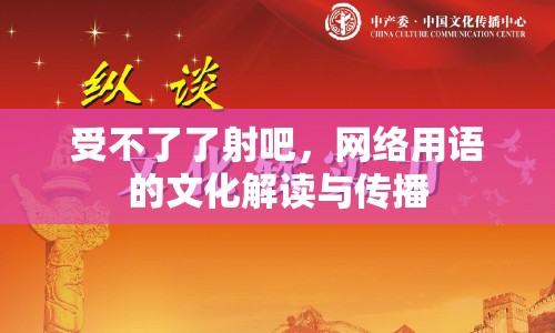 受不了了射吧，網(wǎng)絡(luò)用語(yǔ)的文化解讀與傳播