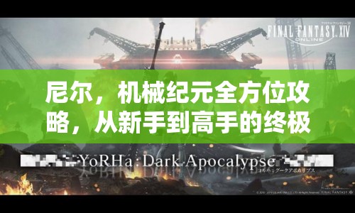尼爾，機(jī)械紀(jì)元全方位攻略，從新手到高手的終極指南
